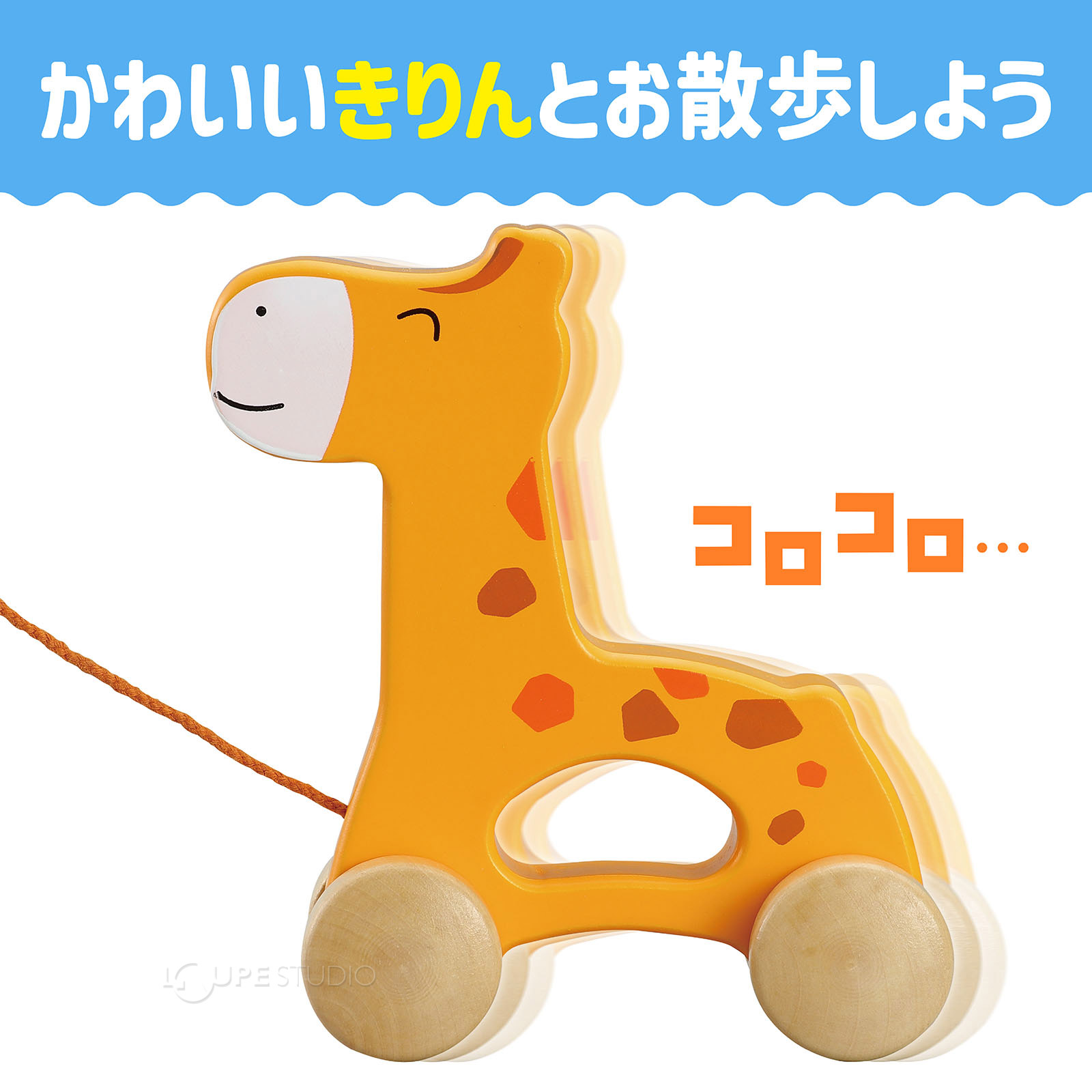 本体 
