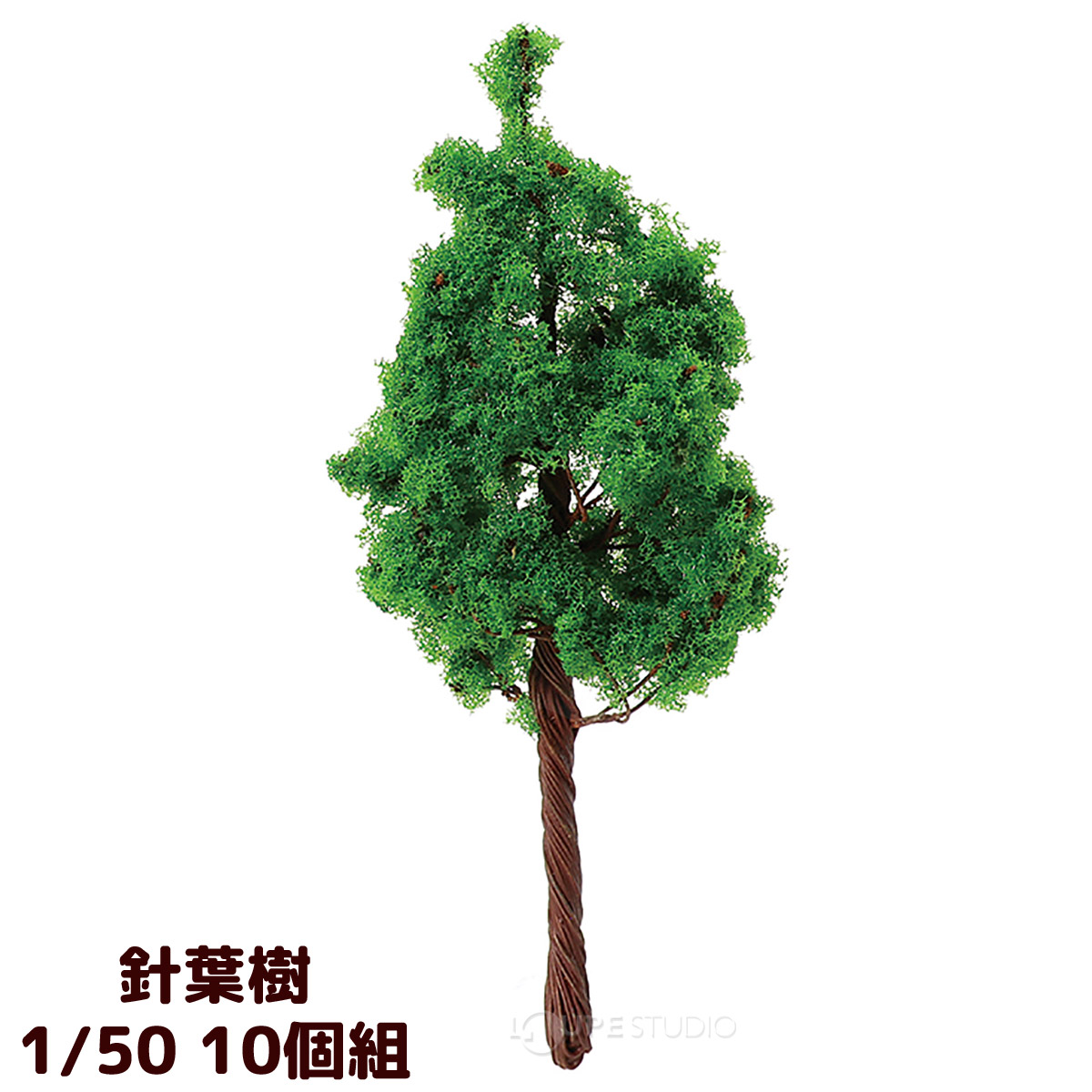 本体 