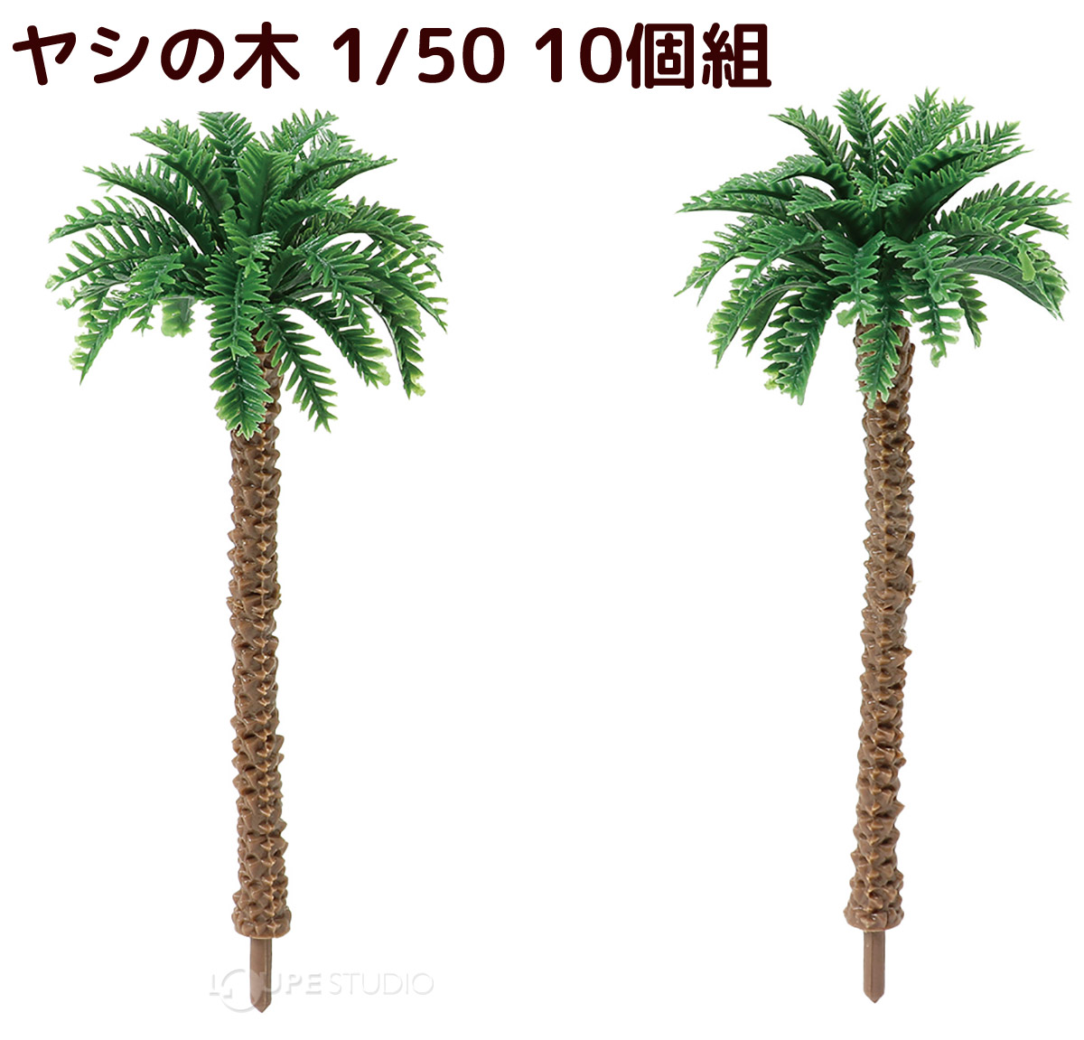 本体 