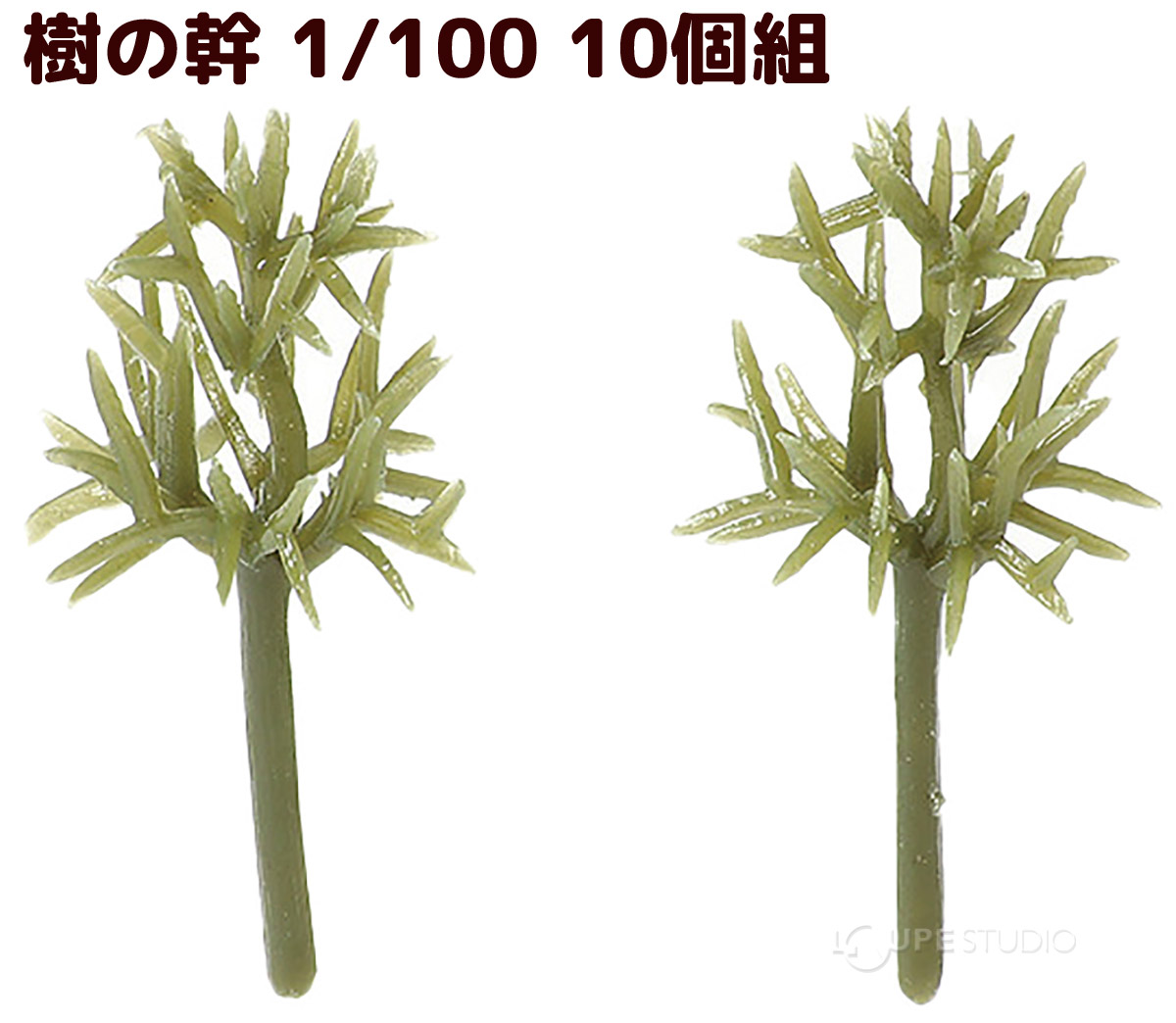 本体 