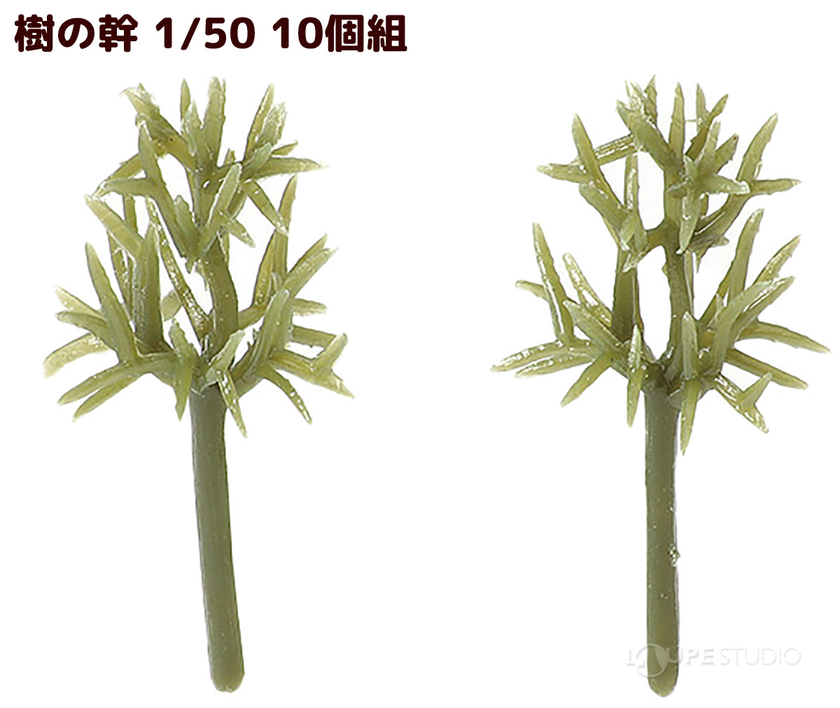 本体 