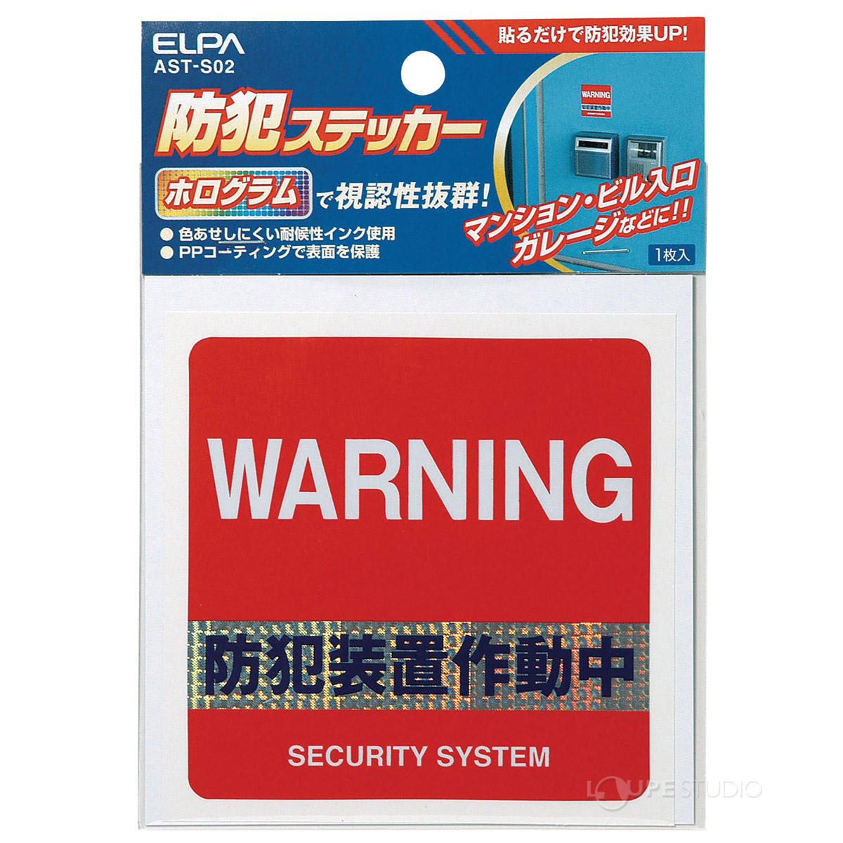 本体 