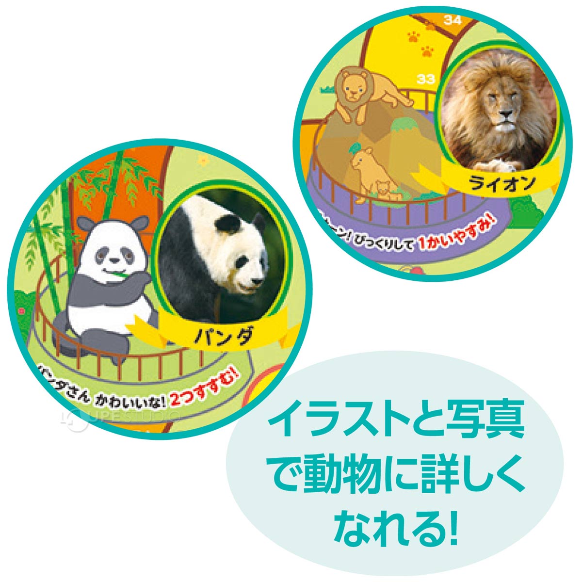 イラストと写真で動物に詳しくなれる 