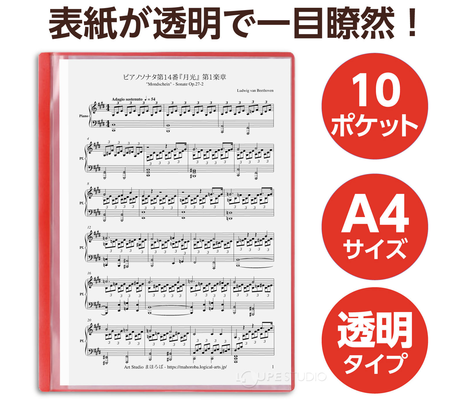 表面が透明なので中身が見える 