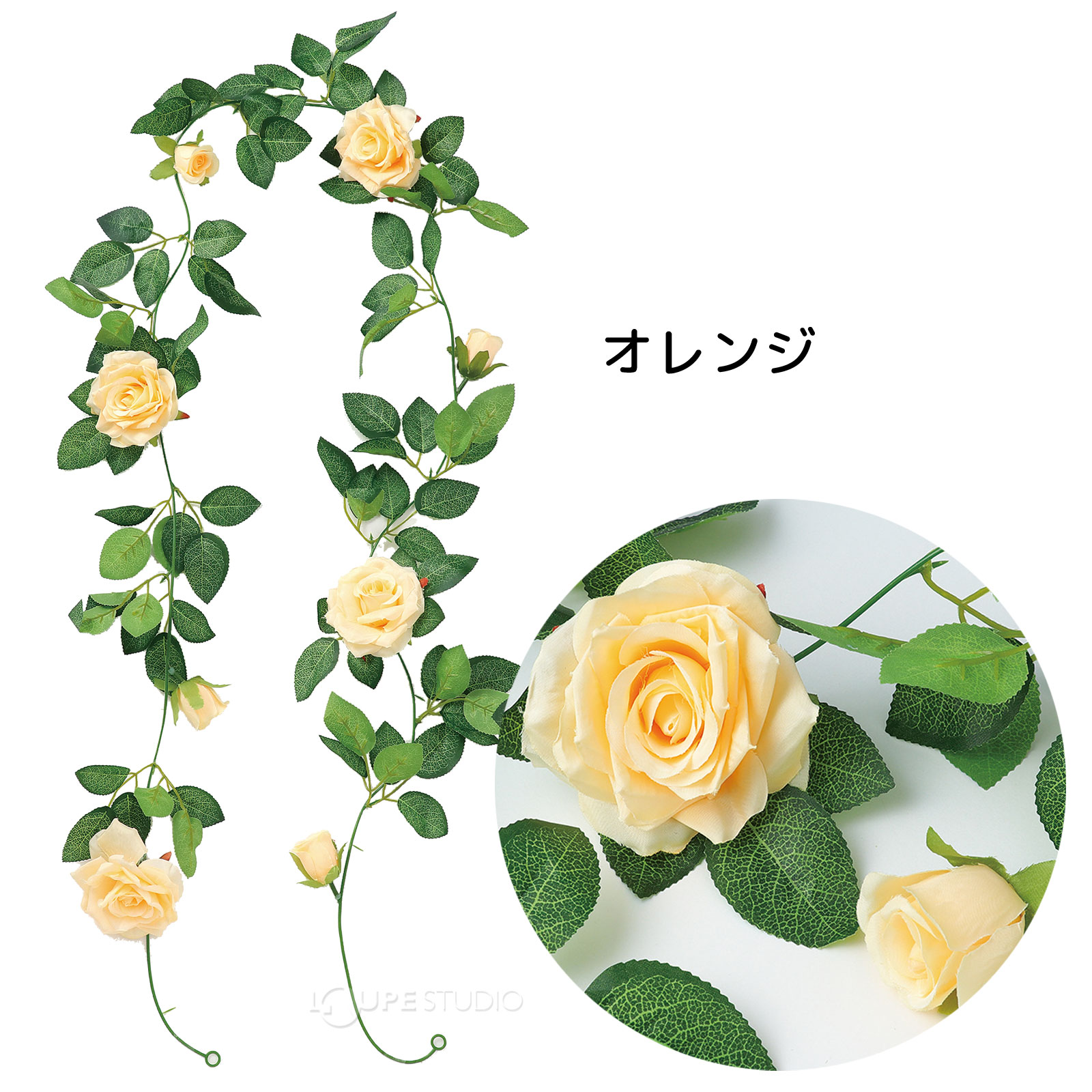 オレンジ 