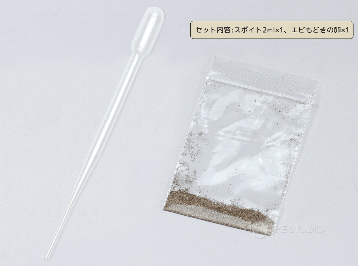 セット内容