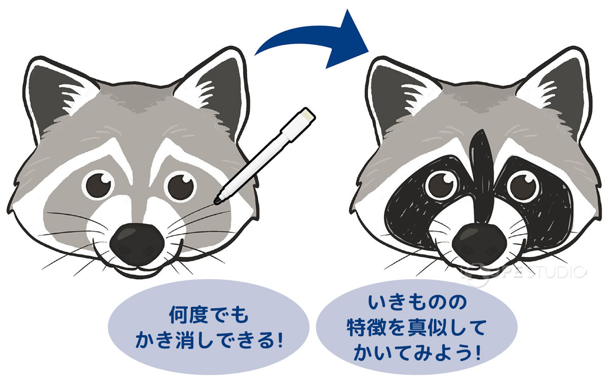 絵本 生き物図鑑 動物 お絵描き 消せる 知育玩具 幼児 子供