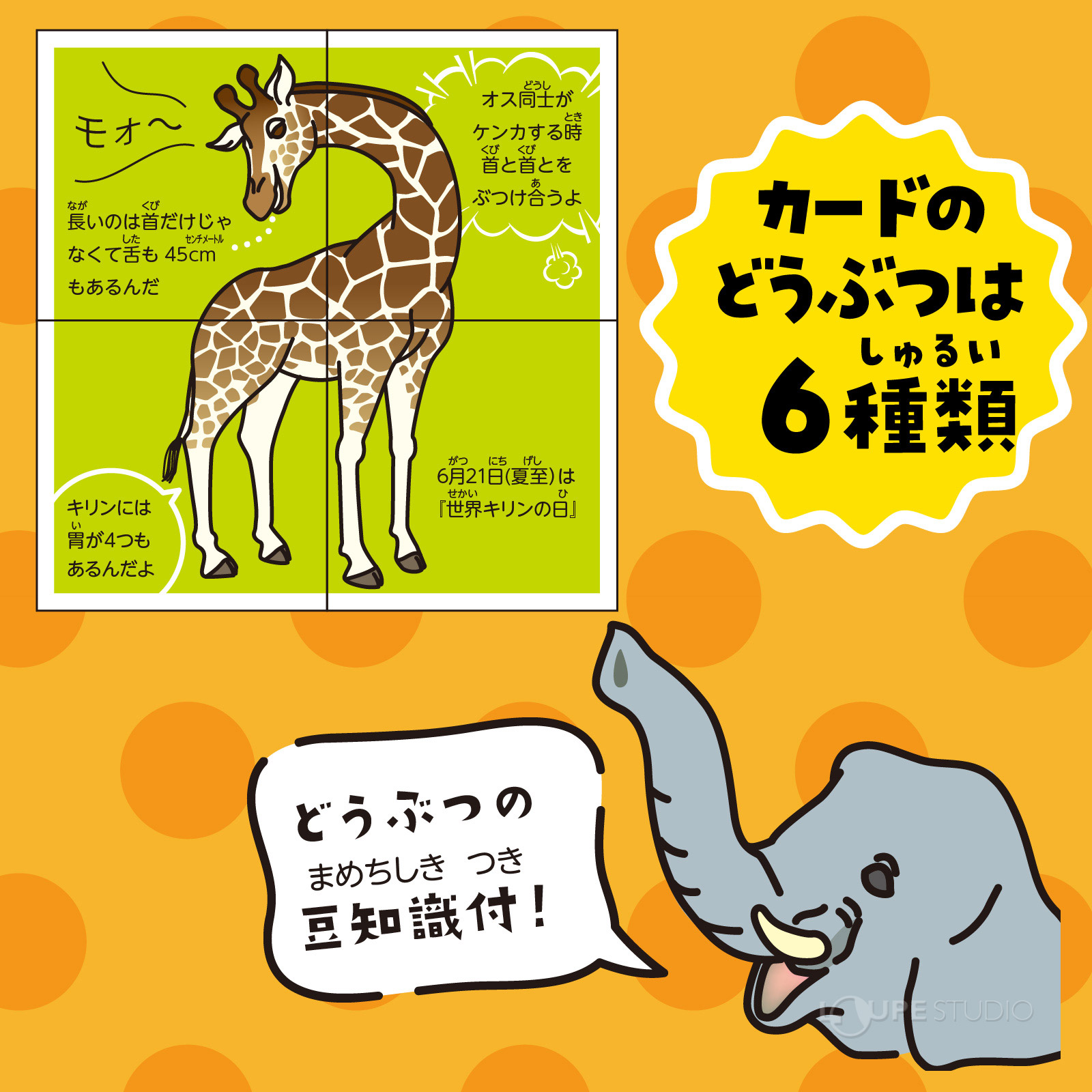 カードのどうぶつは6種類 