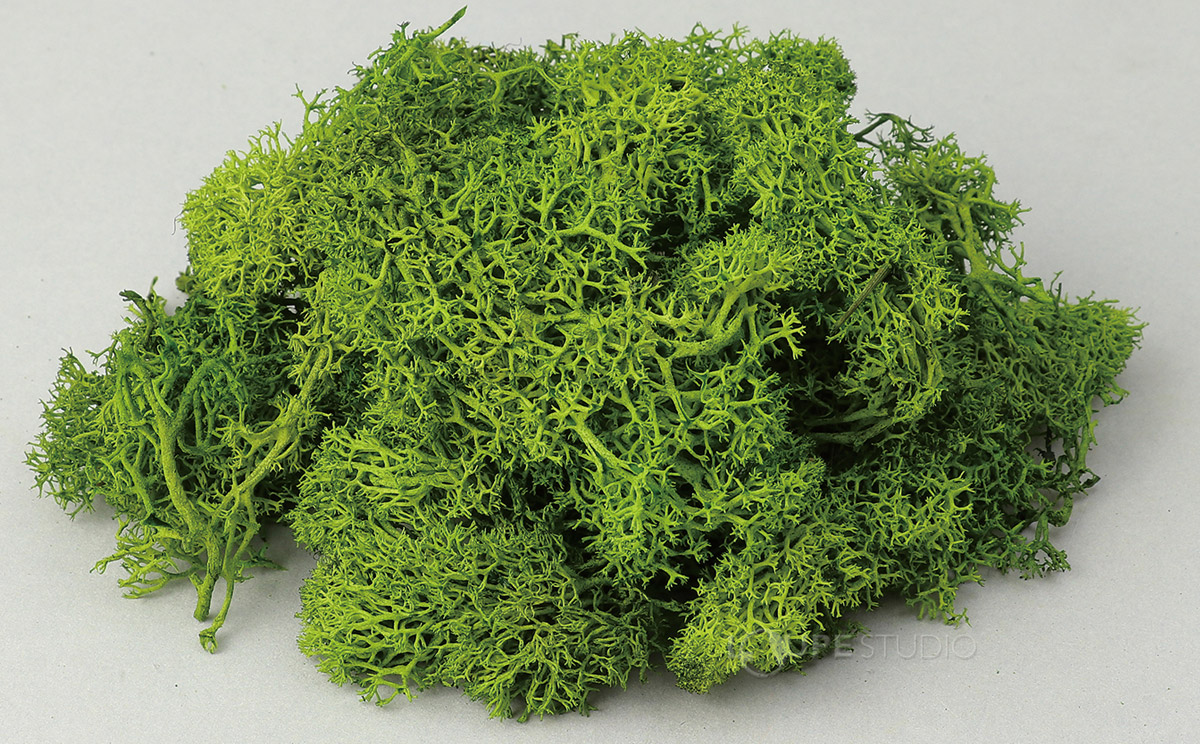 フレッシュグリーン 