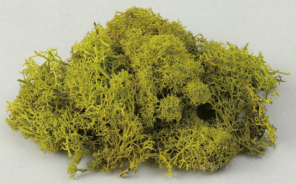 スプリンググリーン 