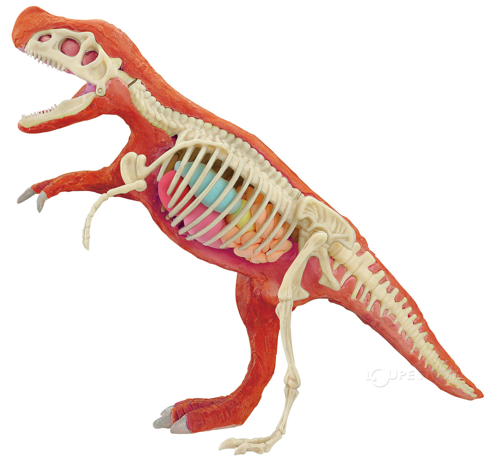 大容量215点】恐竜フィギュア/化石モデル/古代海洋生物/亀・爬虫類モデル