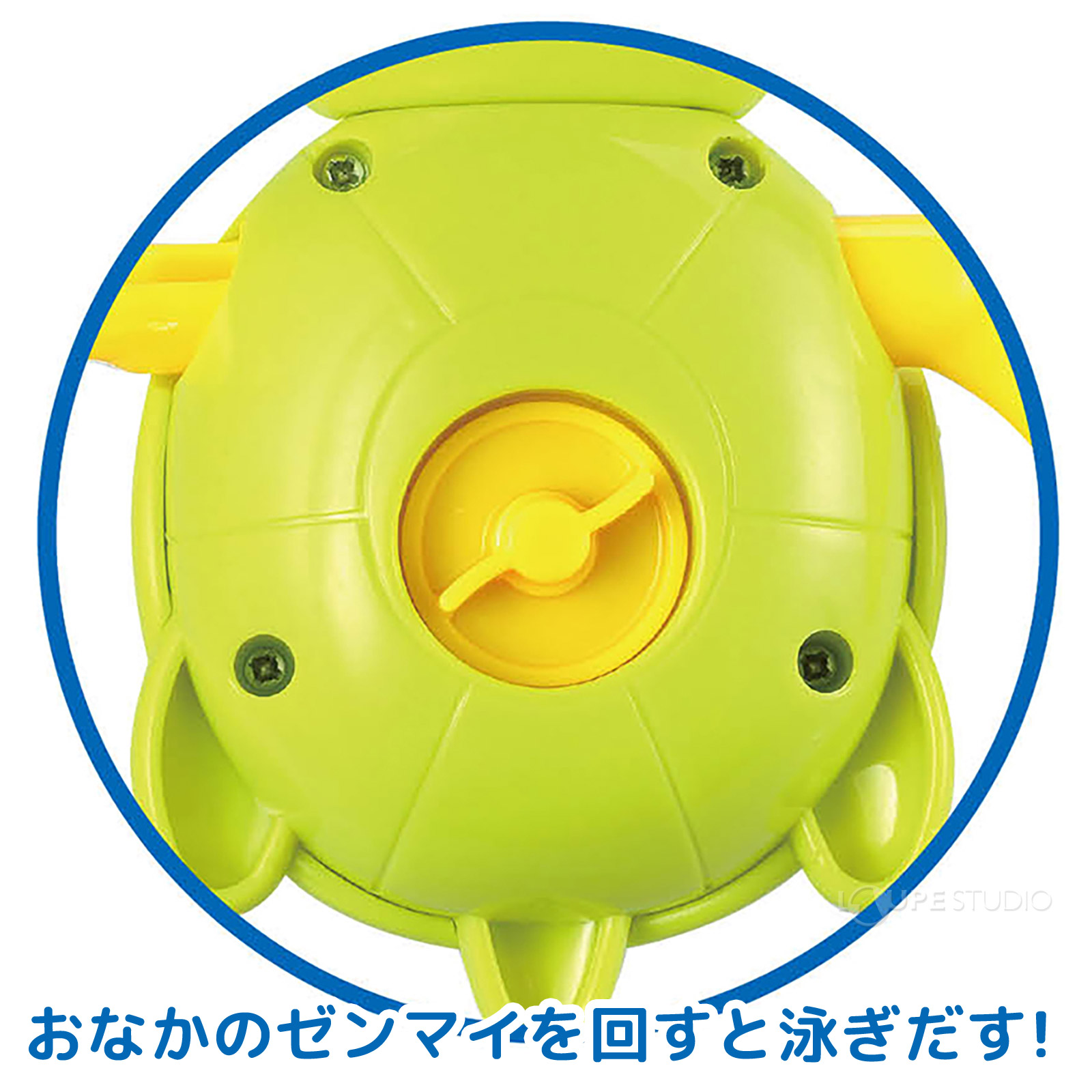 おなかのゼンマイを回すと泳ぎだす! 