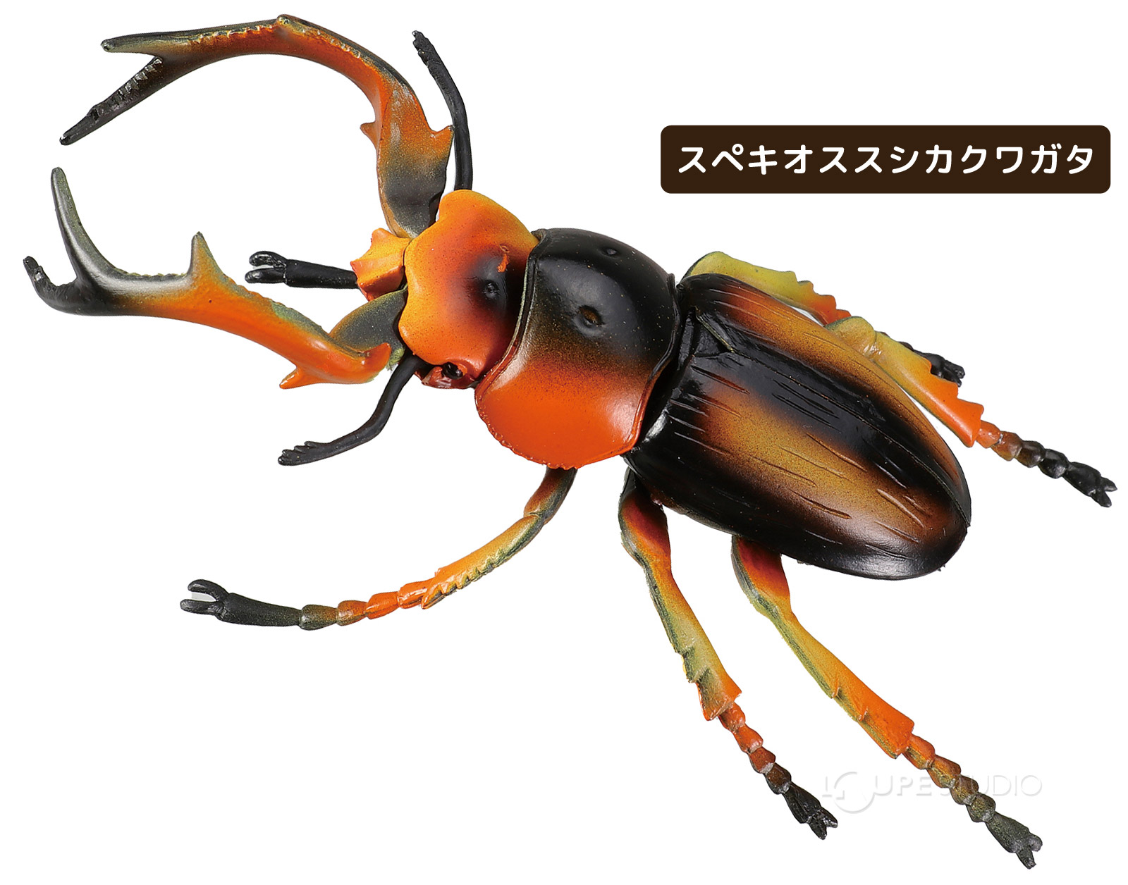 Amazon.co.jp: Bajoy 4in1 モンテッソーリ 教育玩具 木製パズル