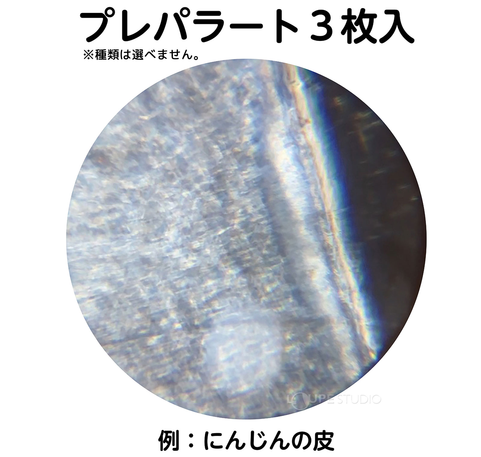 プレパラート3枚入 