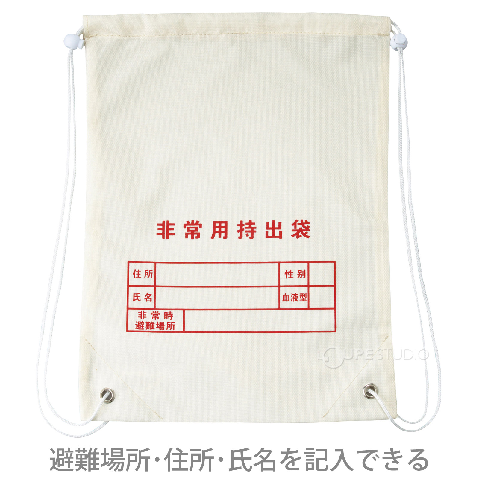 避難場所・住所・氏名を記入できる 