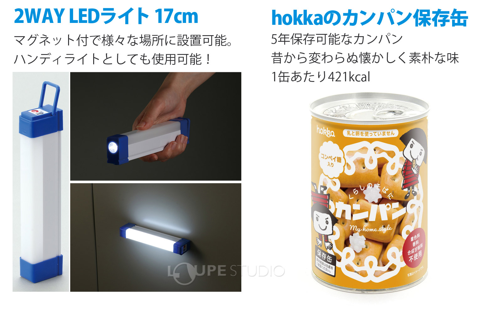 2WAY LEDライト 17cm 