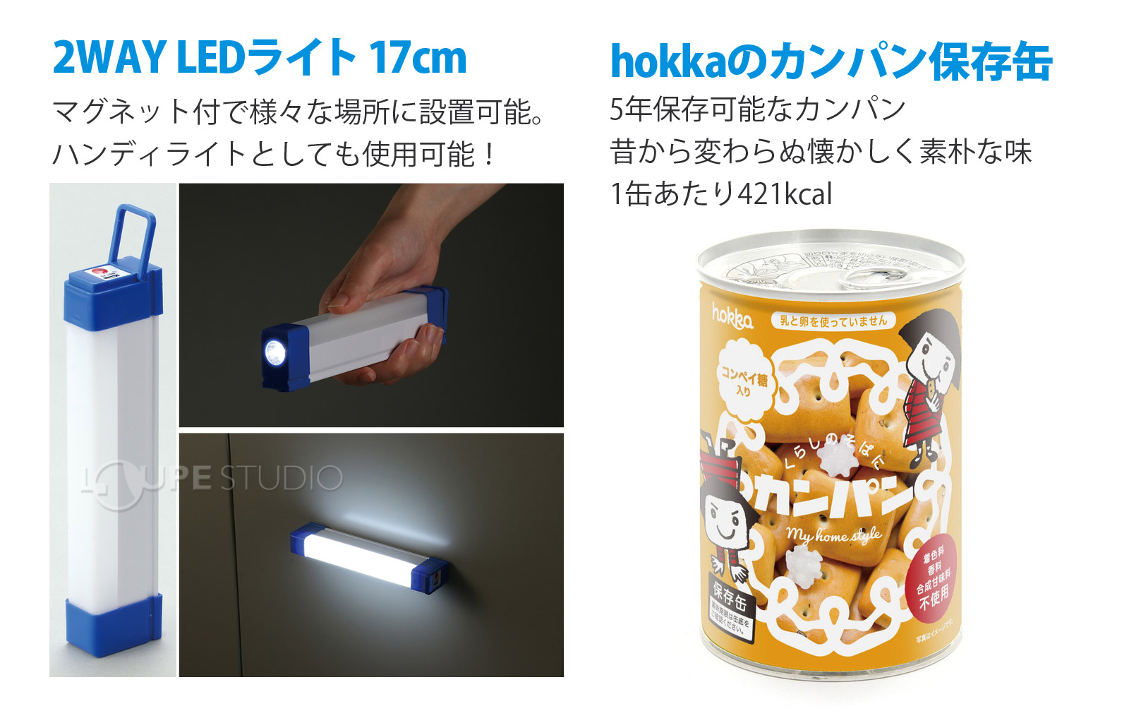 2WAY LEDライト 17cm