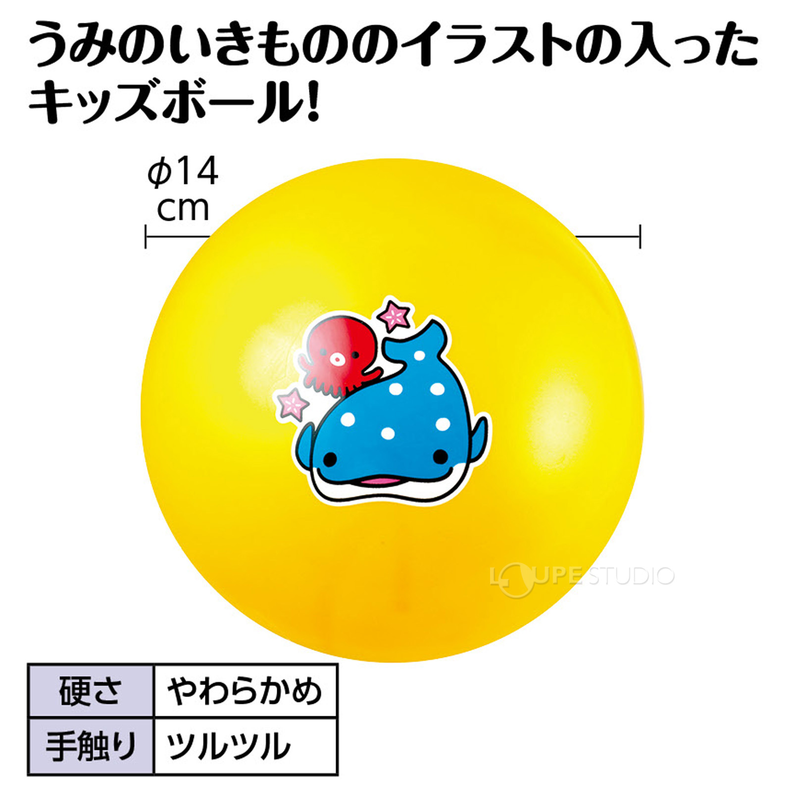 うみのいきもの 