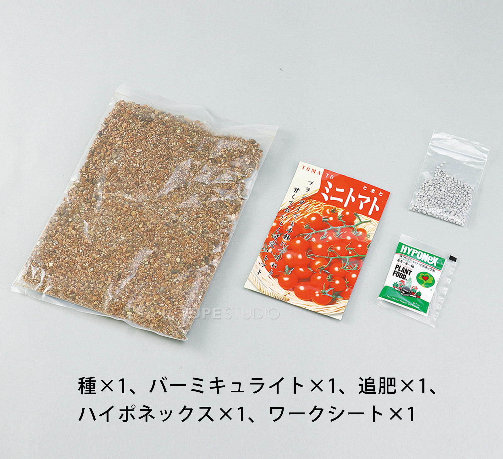 セット内容