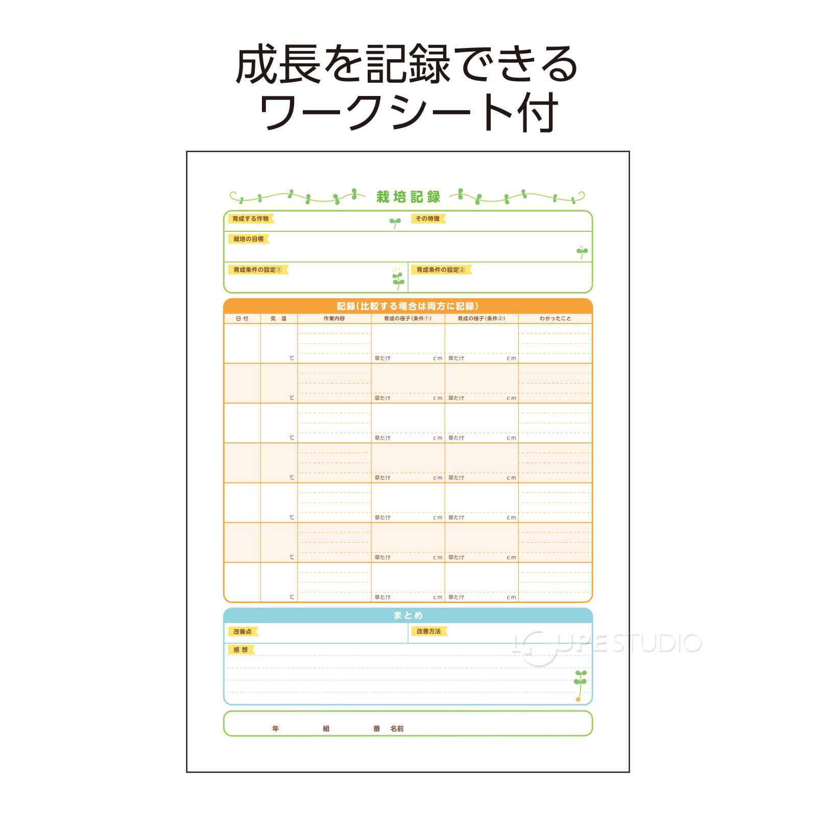 ワークシート付