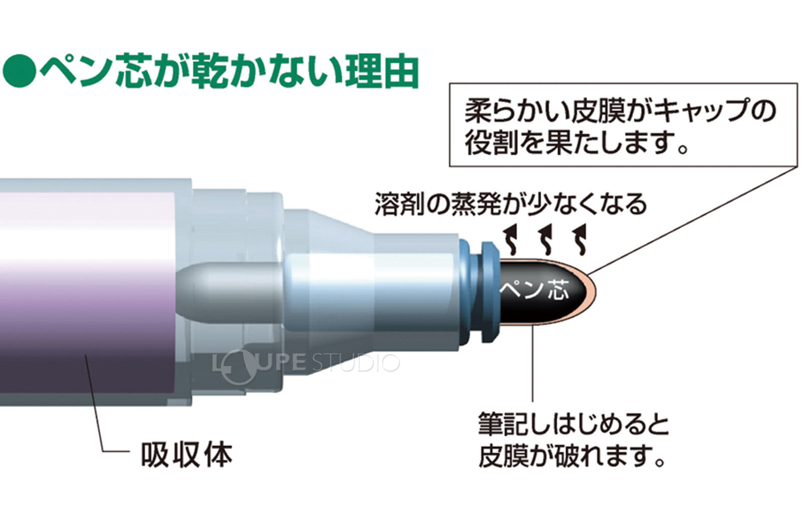 ペン芯が乾かない理由 