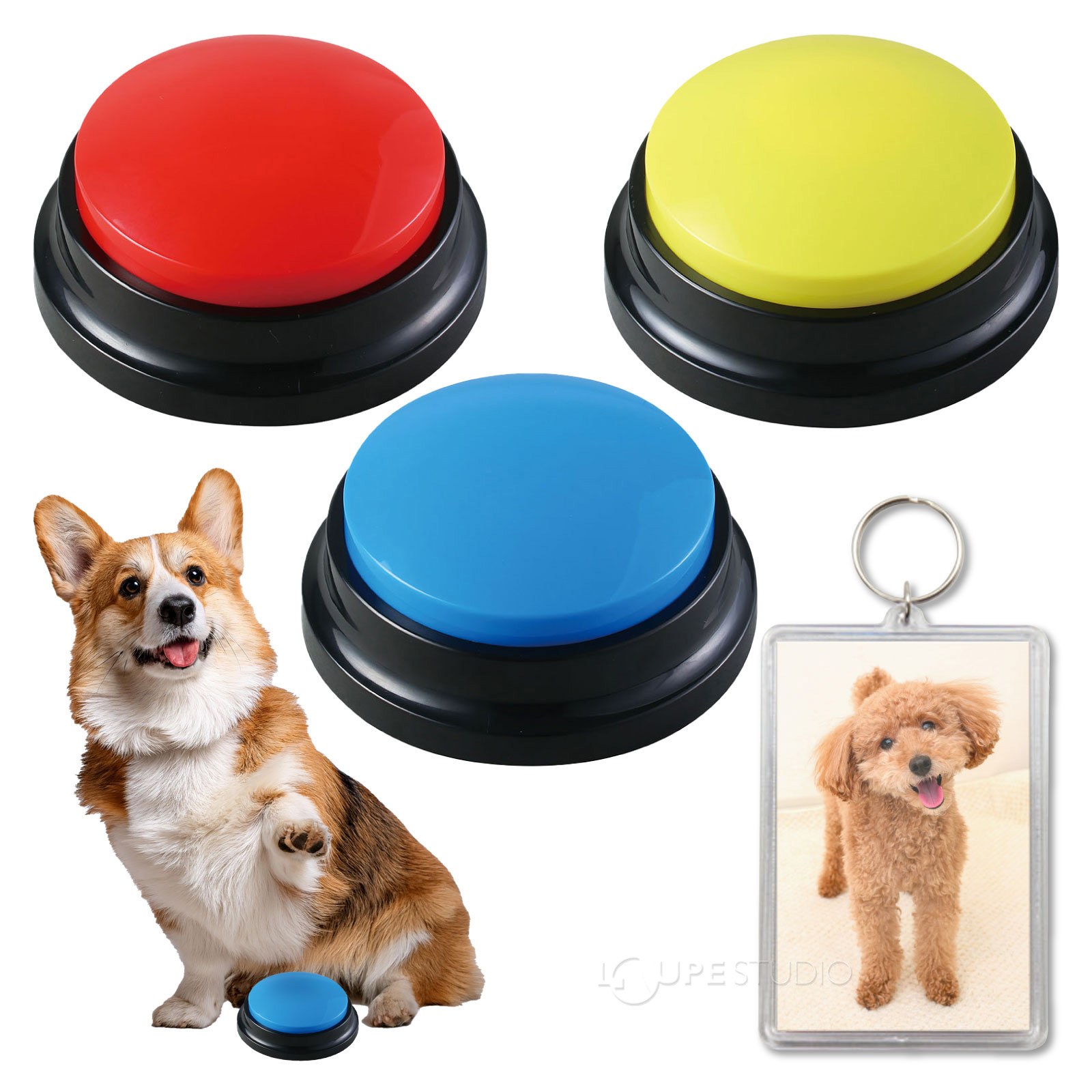 ペットと会話ボタン