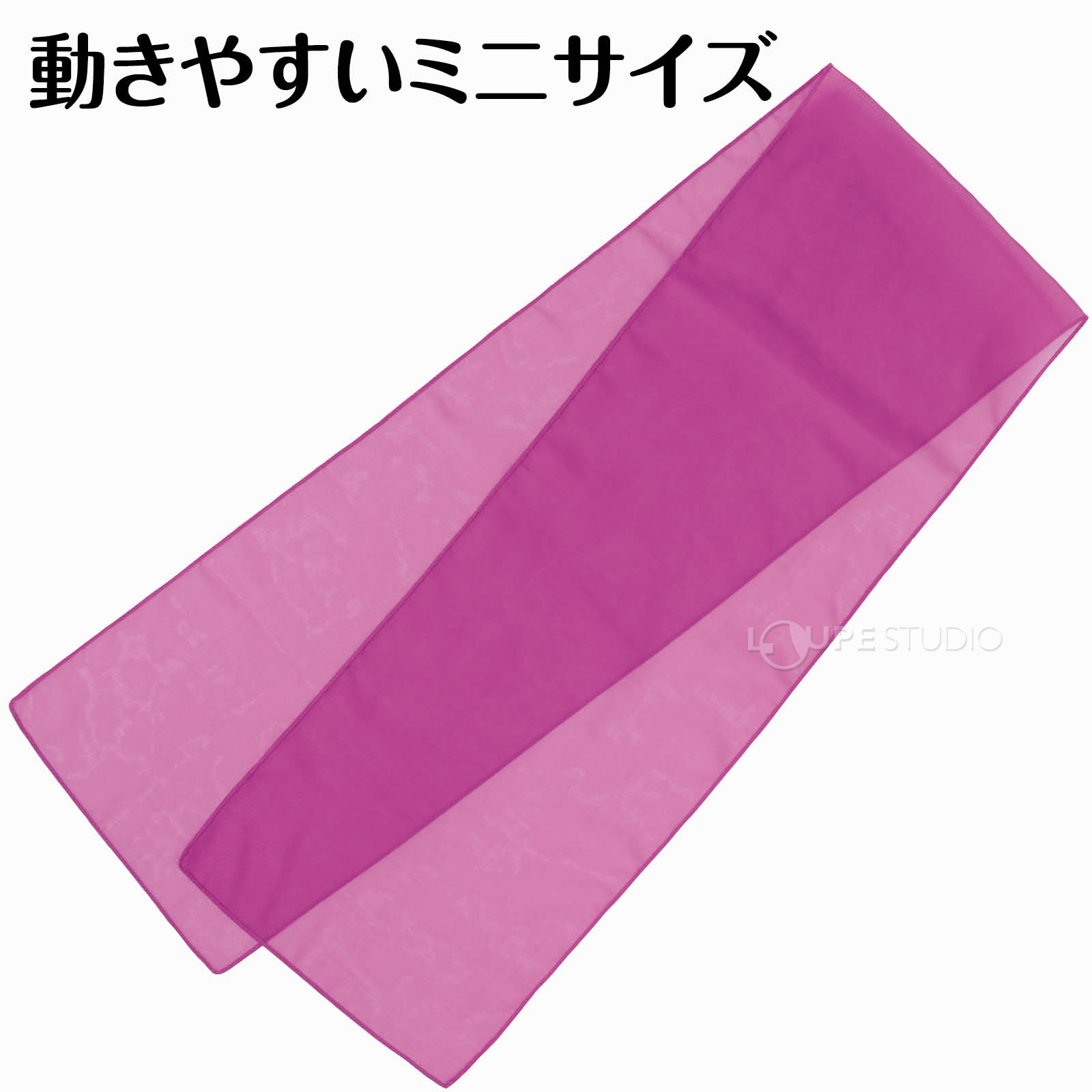 ミニサイズ 