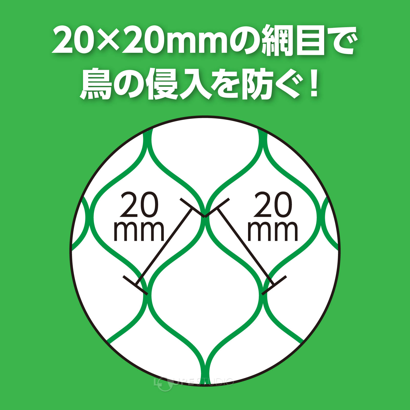20×20mmの網目