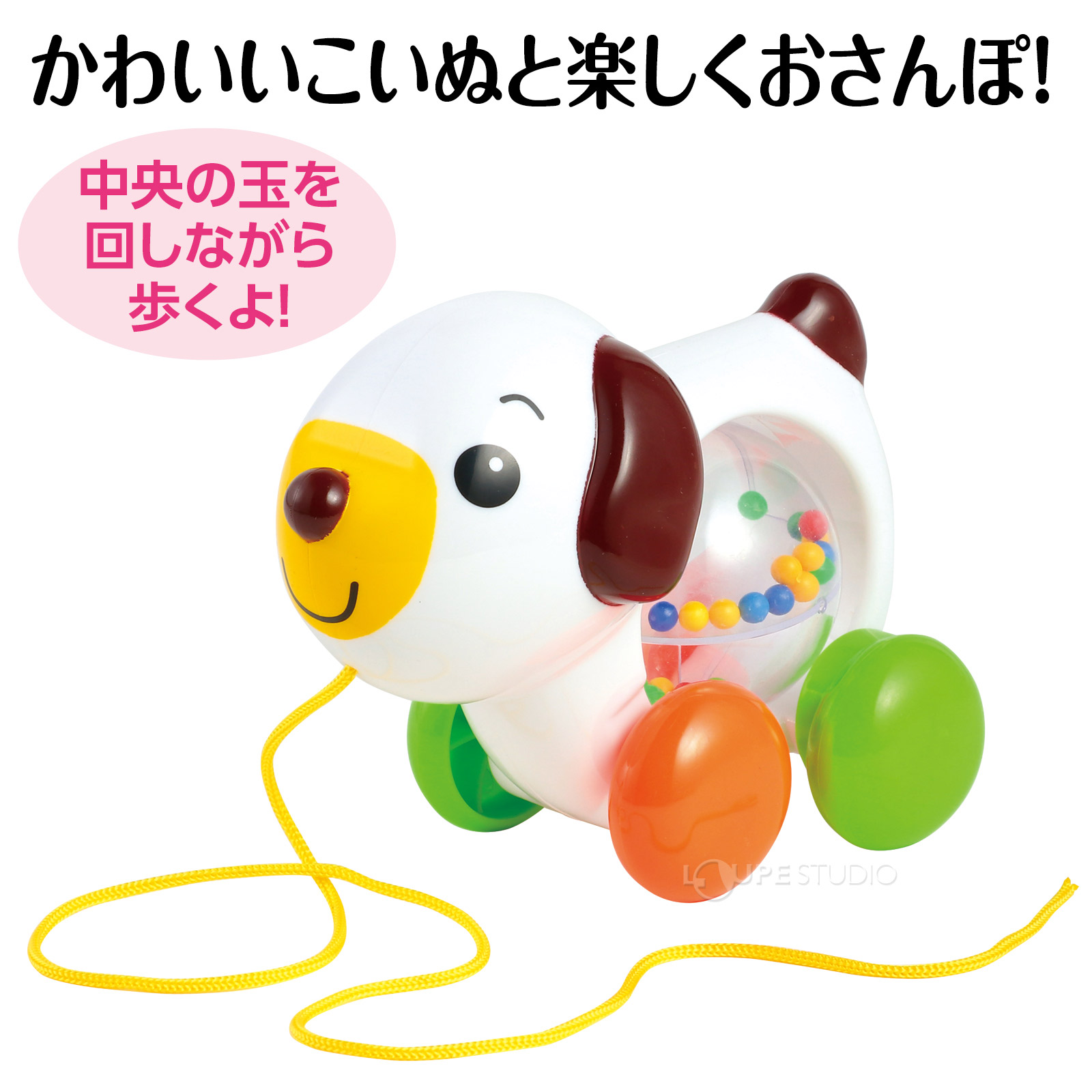 かわいいこいぬと楽しくおさんぽ! 