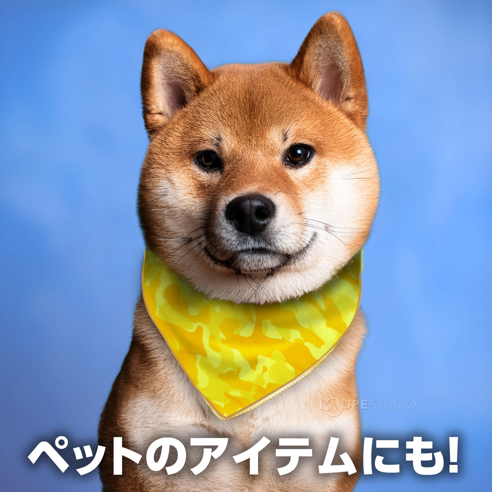 ペットのアイテムにも 