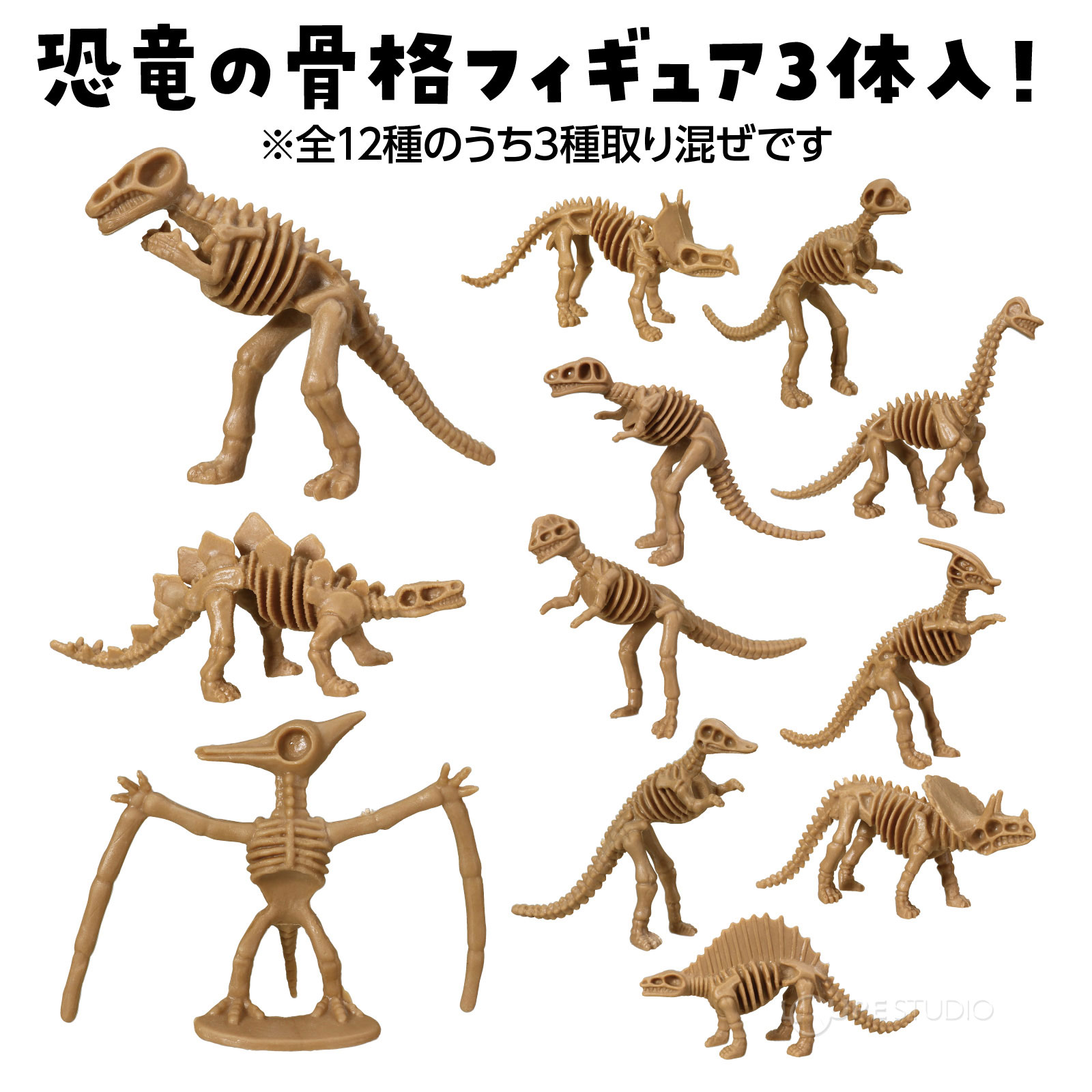 恐竜の骨格フィギア3体入り 