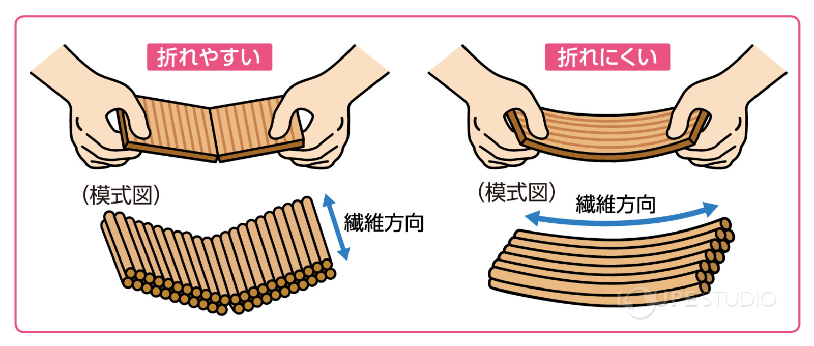 スチレンボード付 