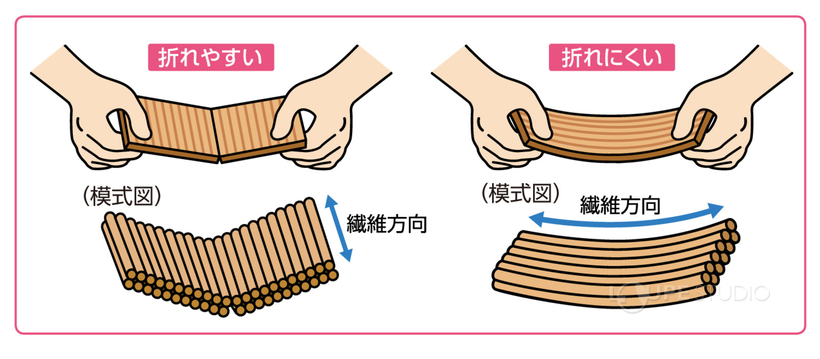 スチレンボード付 