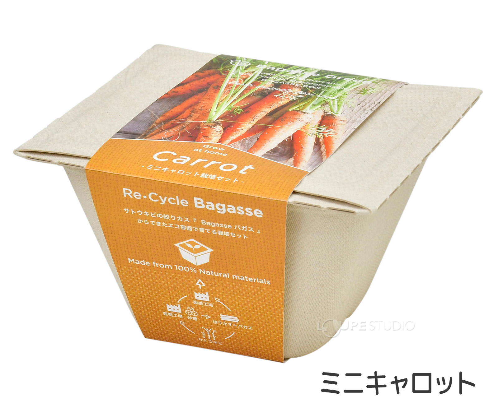 ミニキャロット