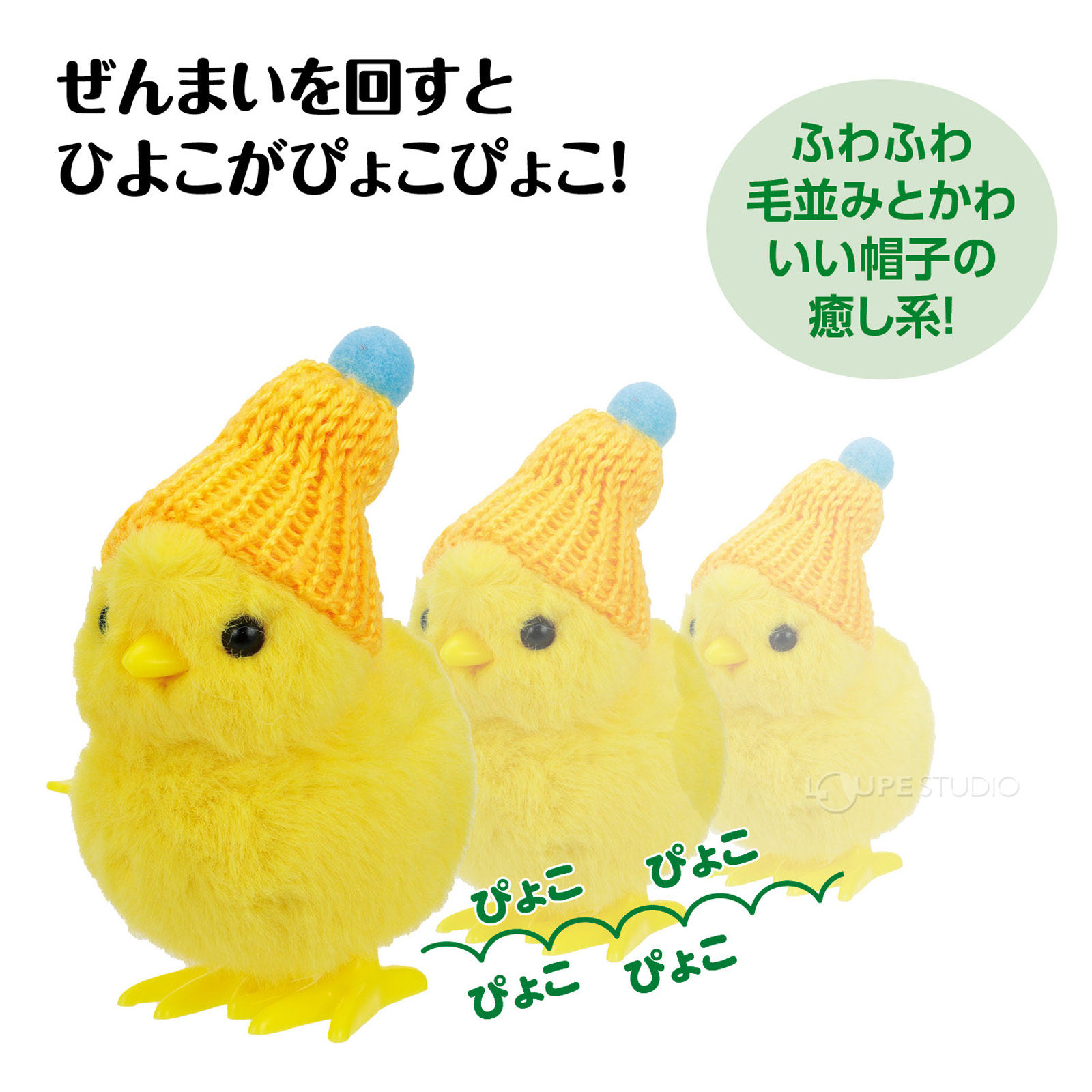 ふわふわ癒しのひよこ!