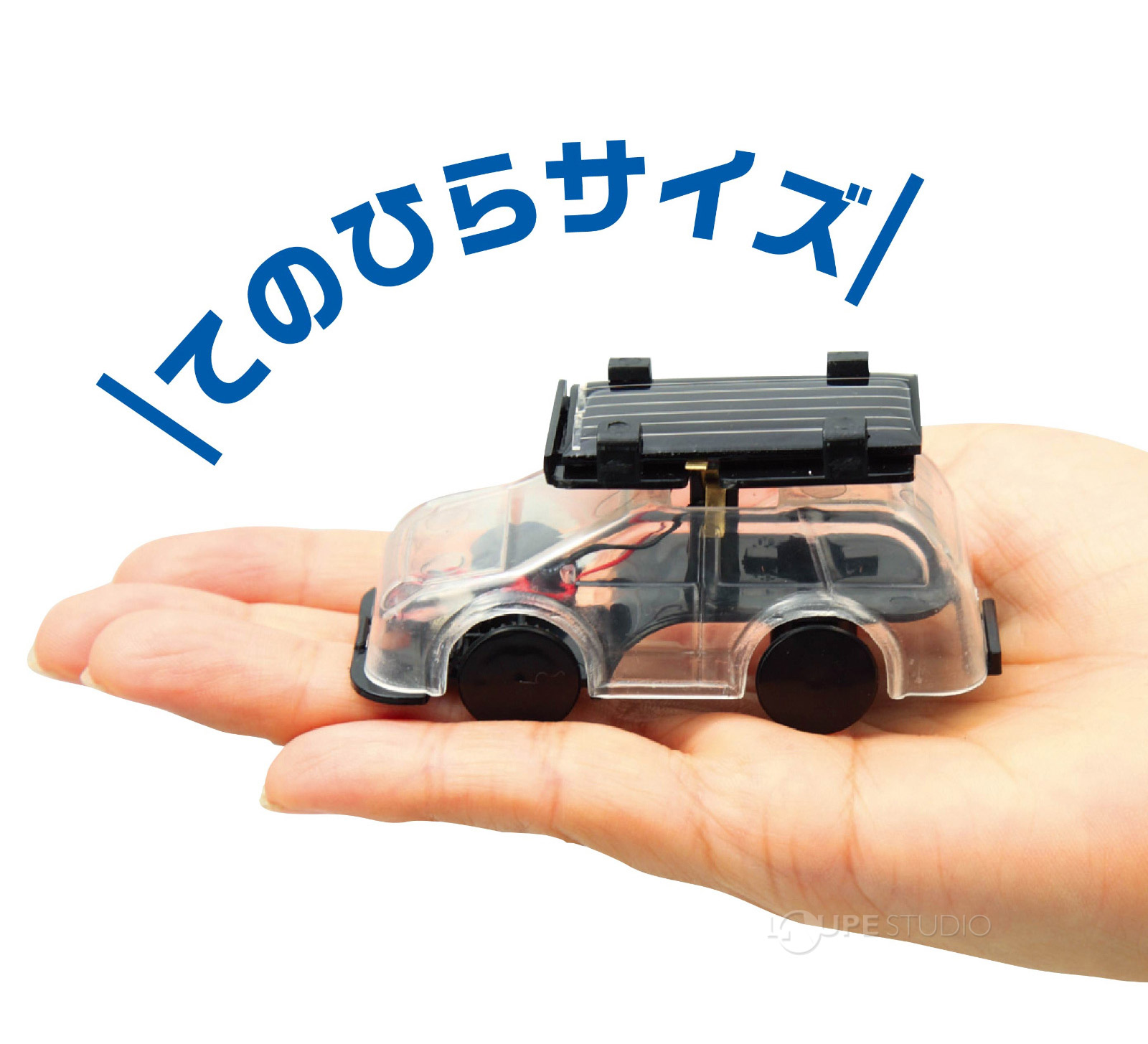 てのひらサイズ