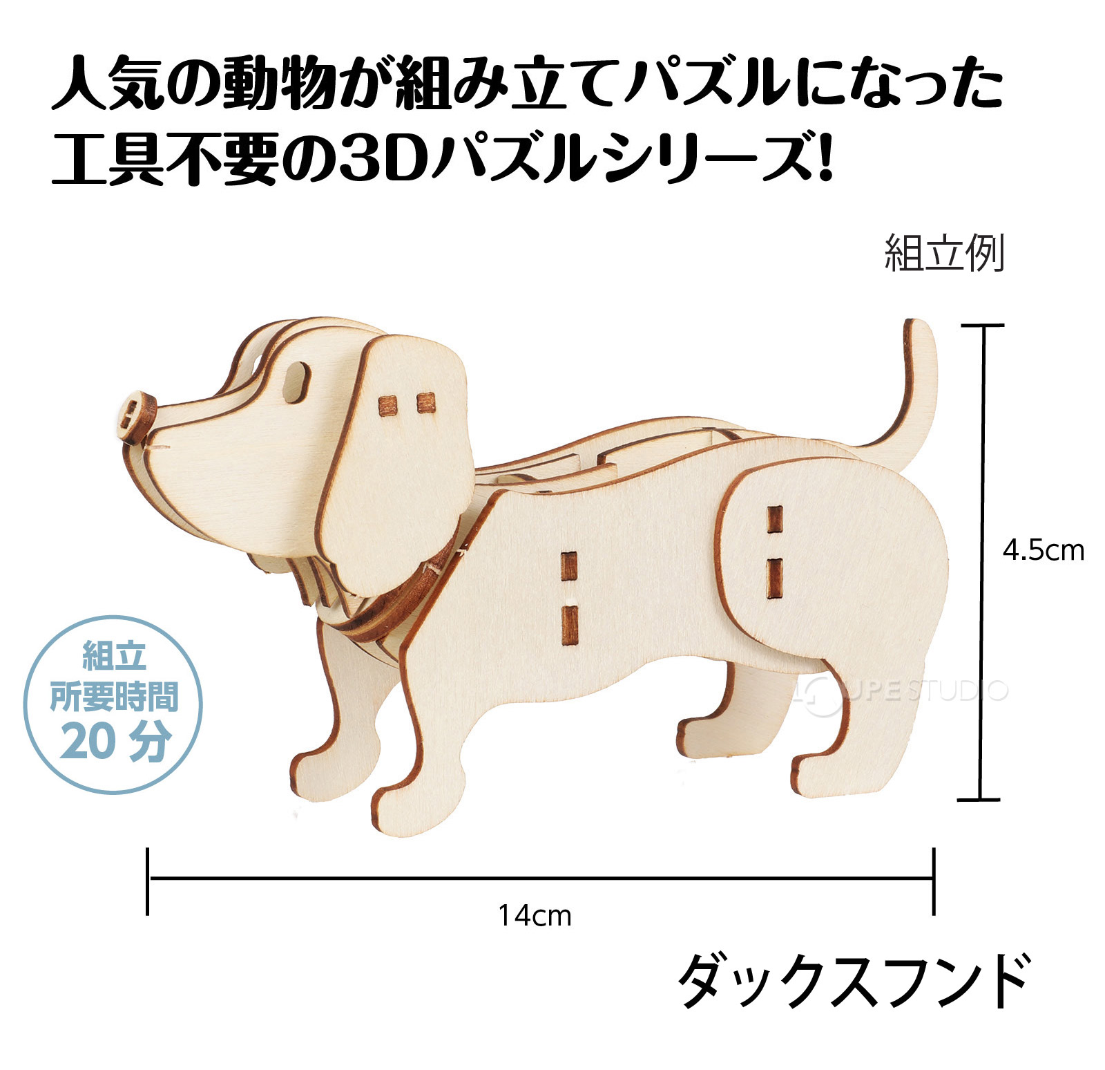 ダックスフンド 