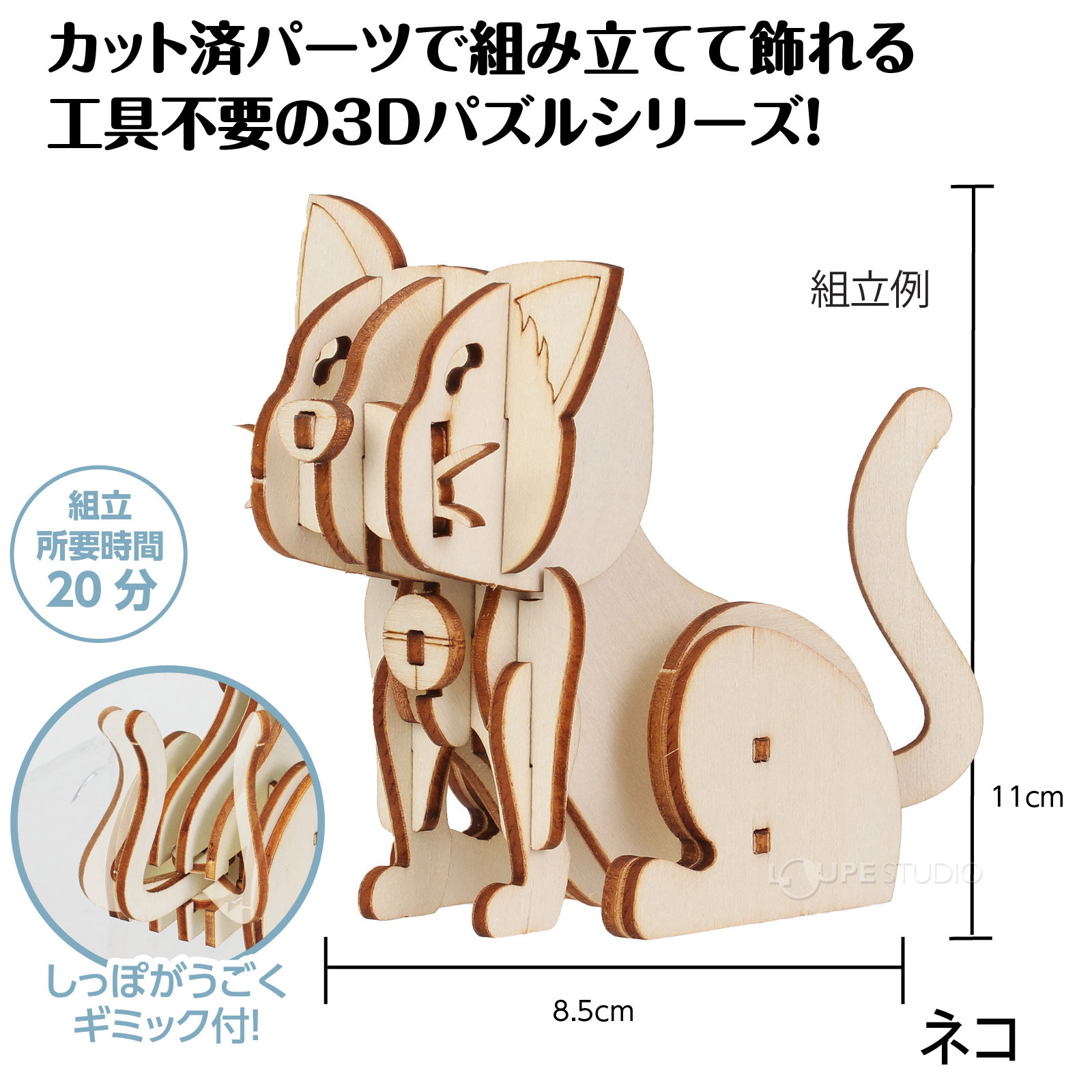 ネコ 