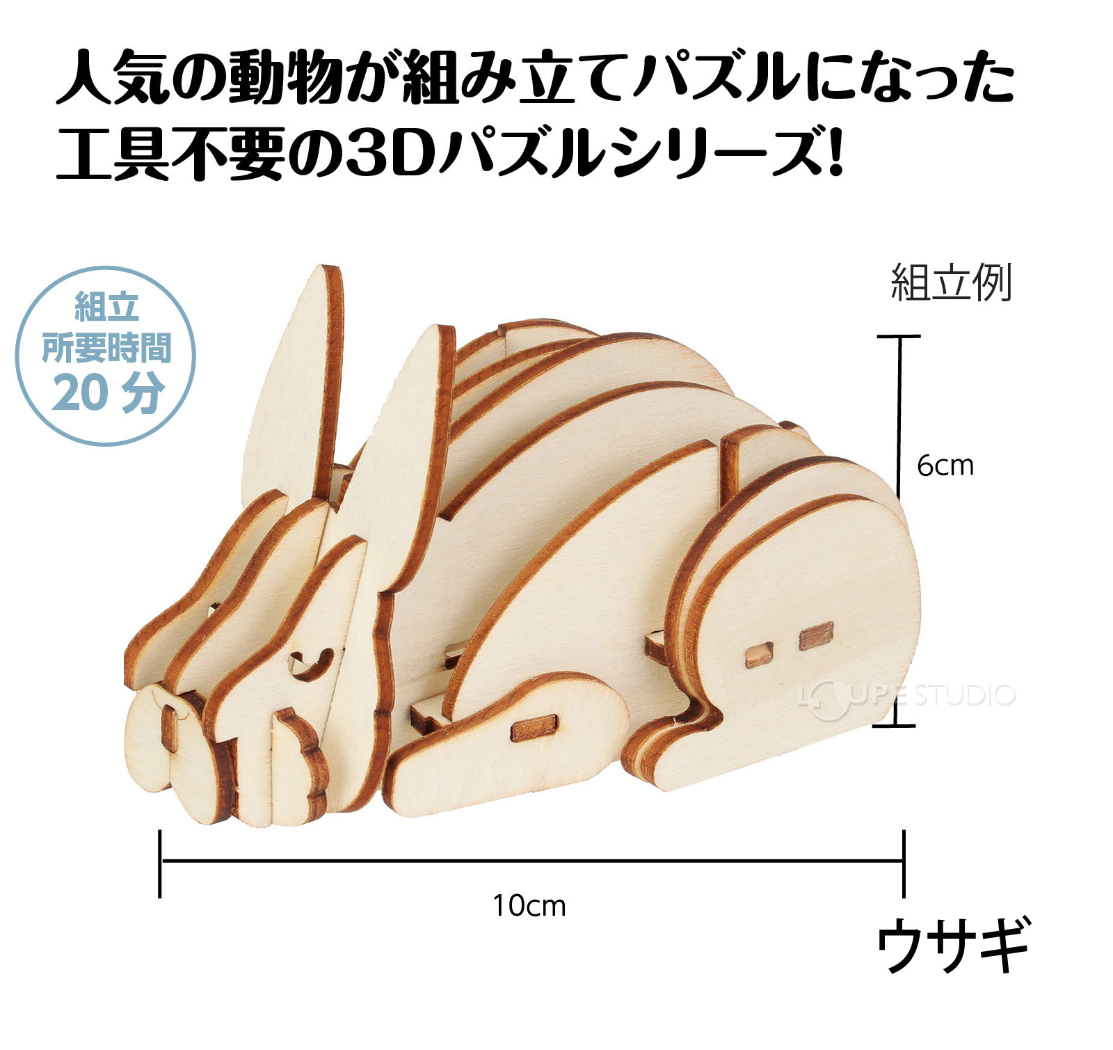 ウサギ 