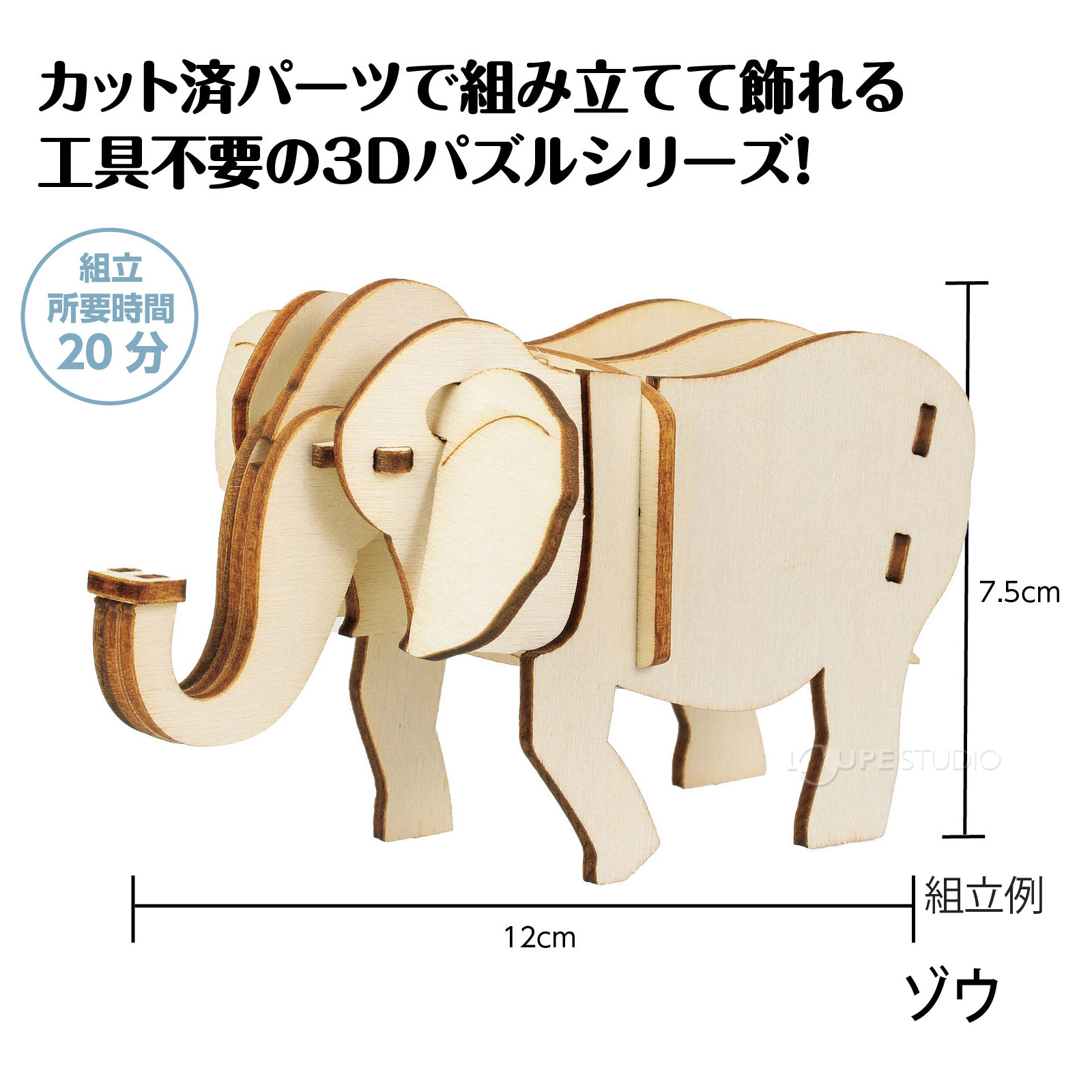 ゾウ 