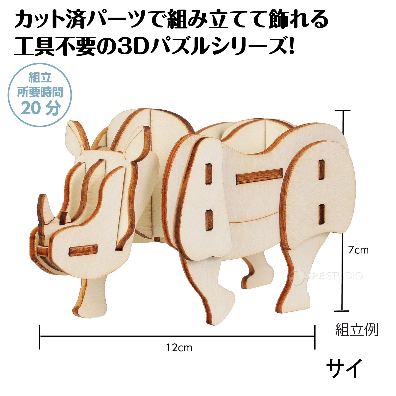 サイ 