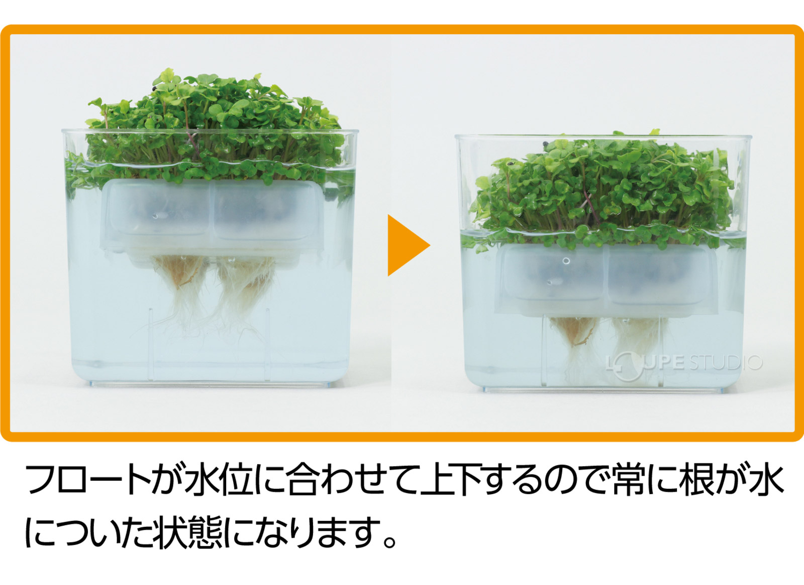 使用イメージ