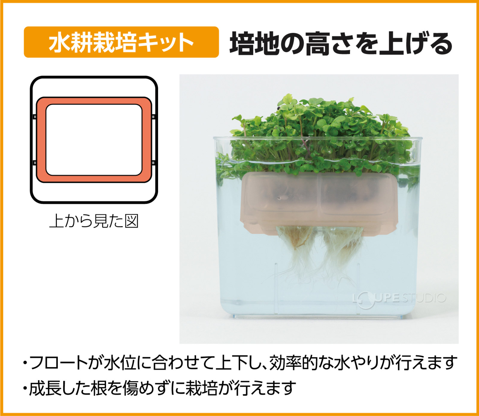 水耕栽培キット