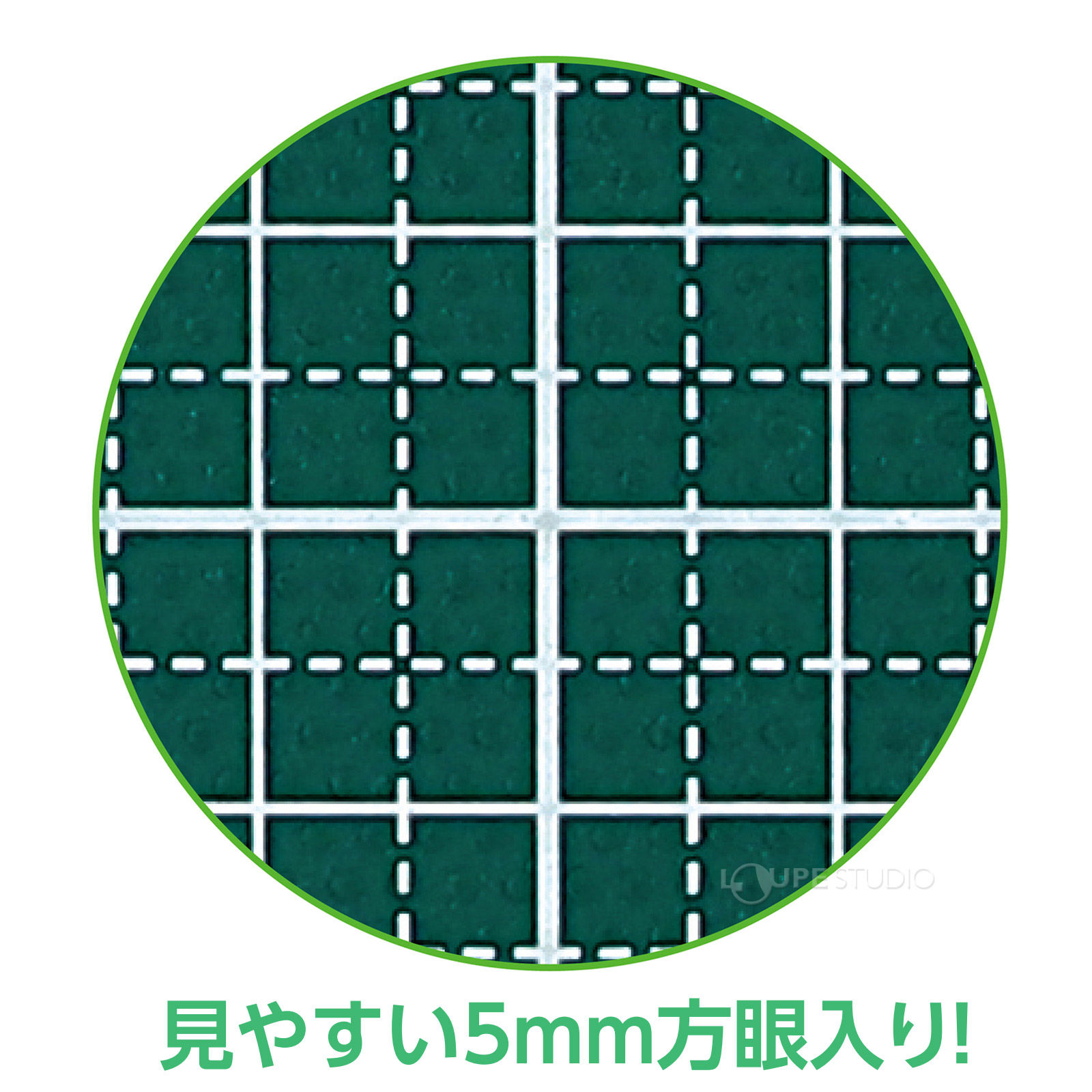 5mm方眼入り 