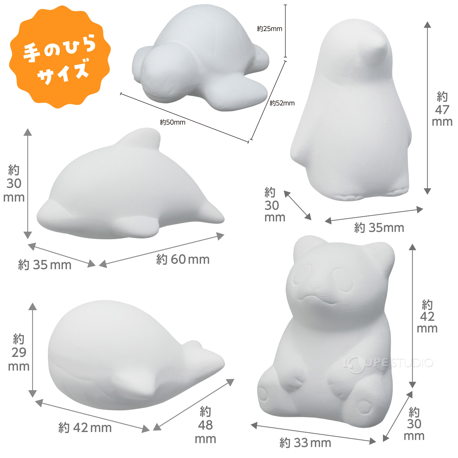 サイズ 
