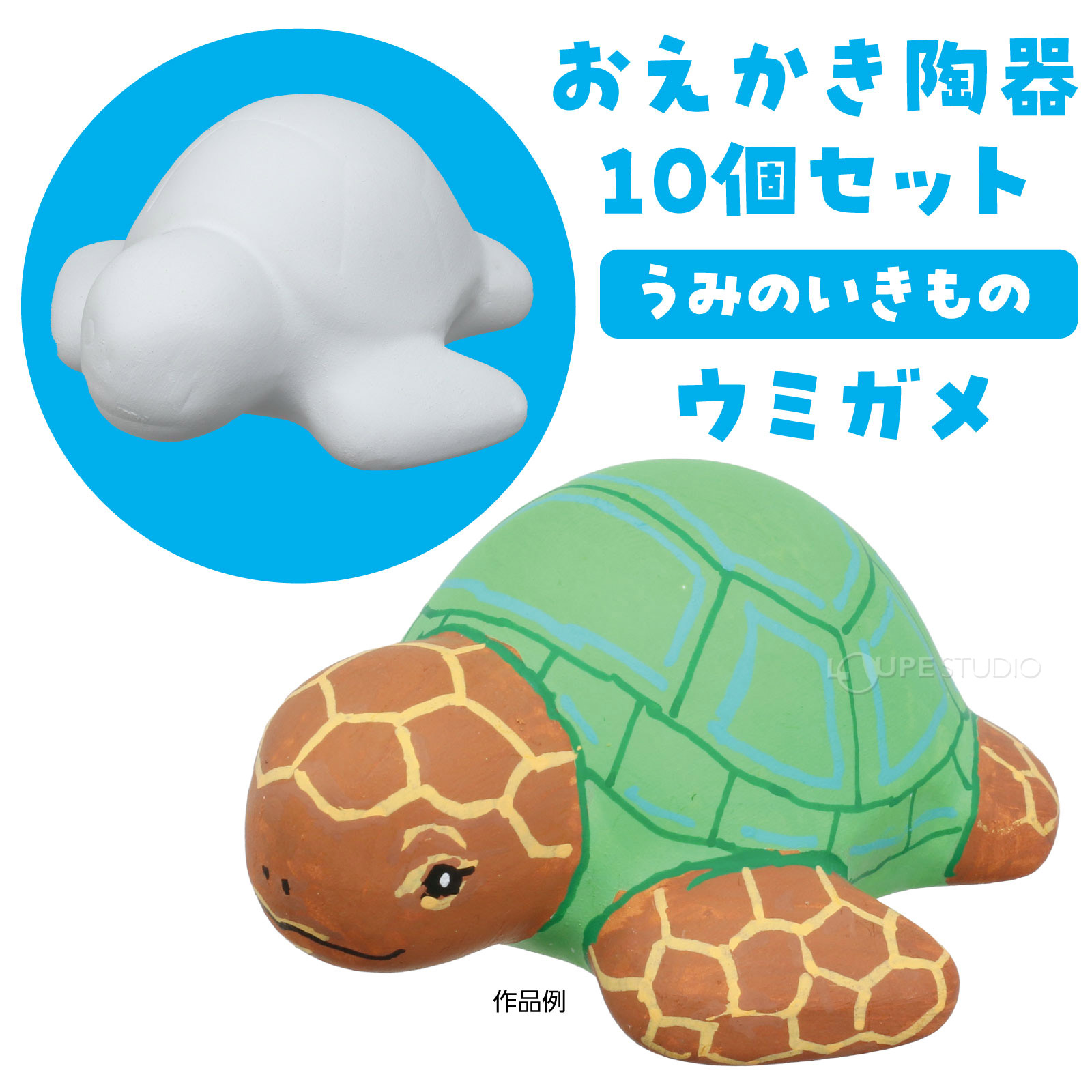 うみのいきもの ウミガメ 