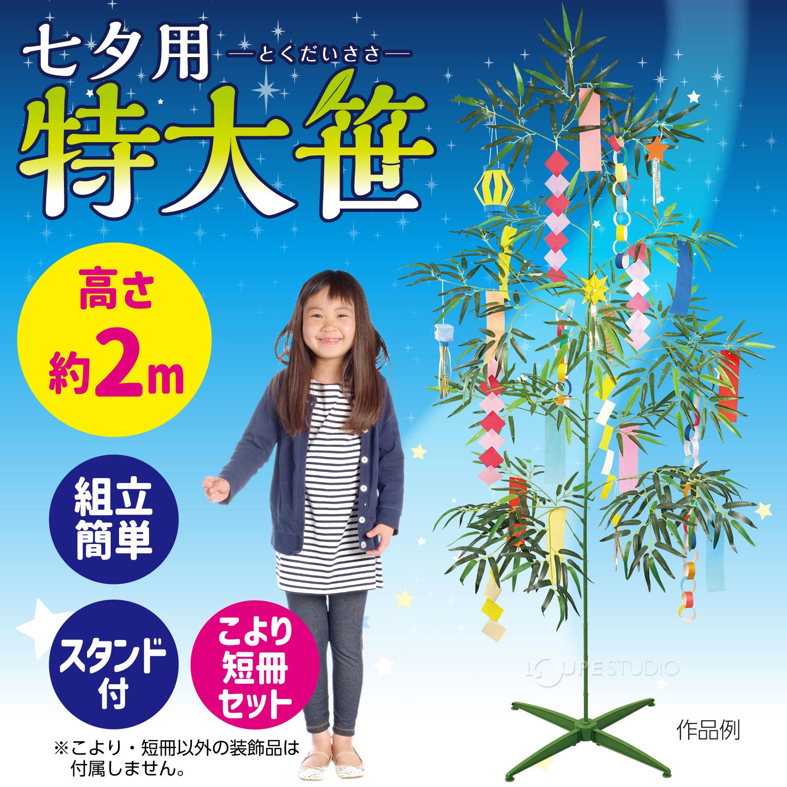 七夕特大笹 2m