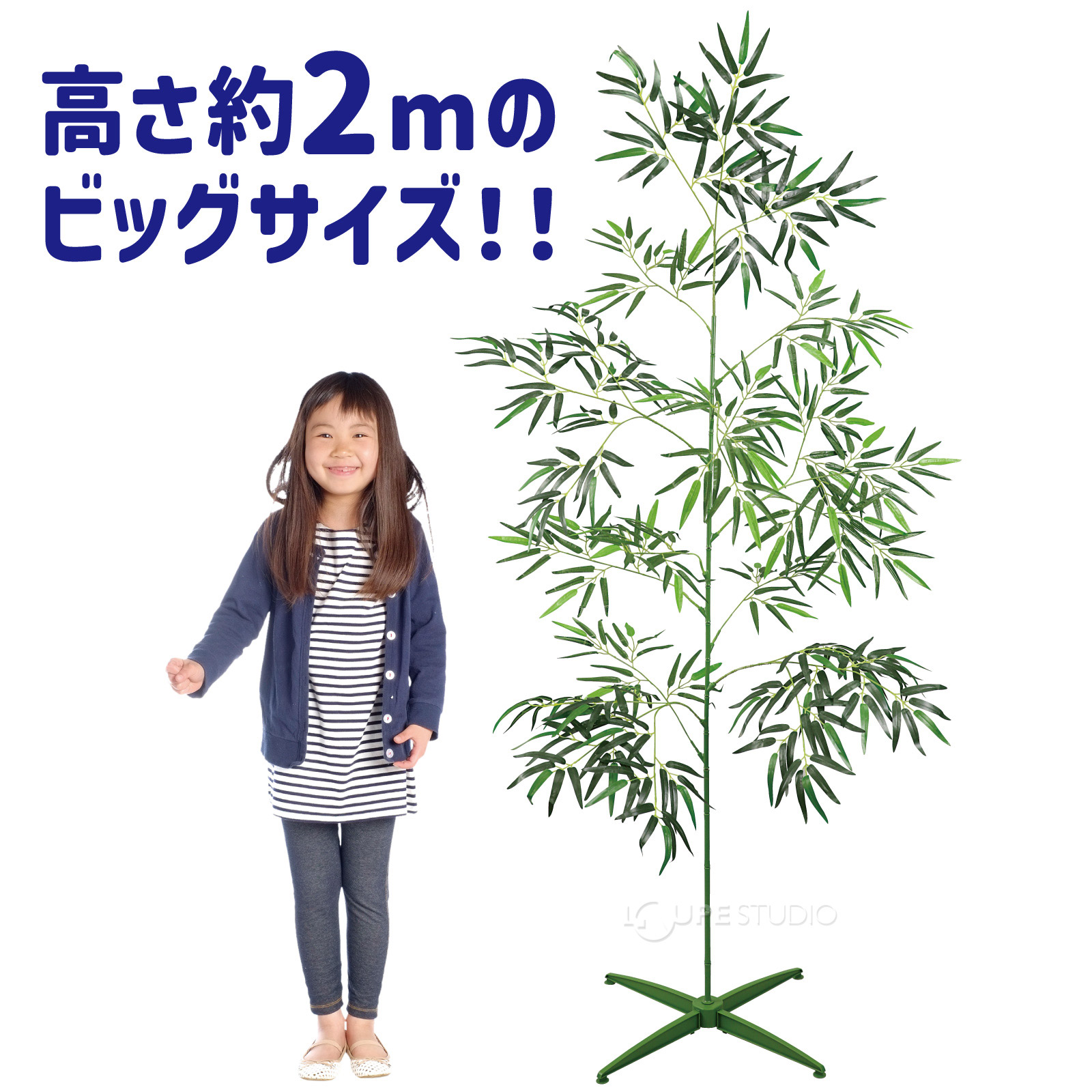 高さ約2Mのビッグサイズ