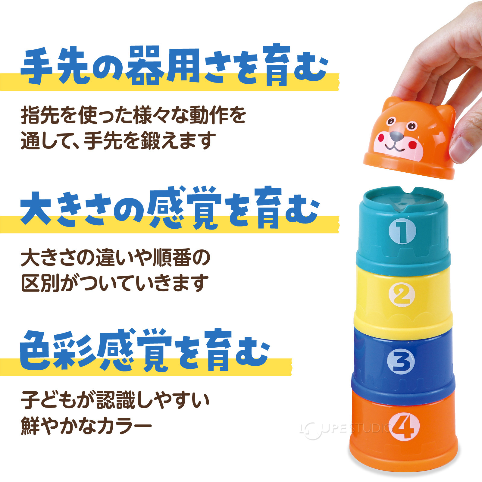 特徴 