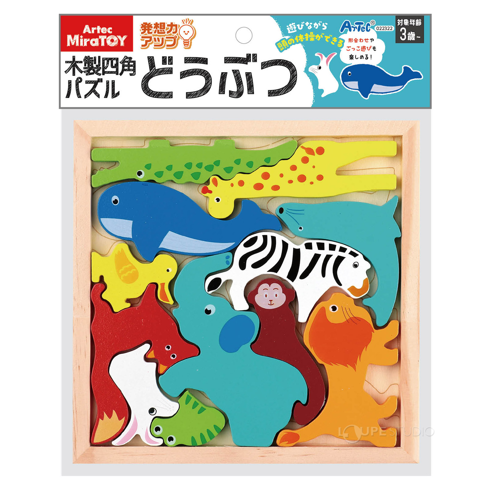 パッケージ 